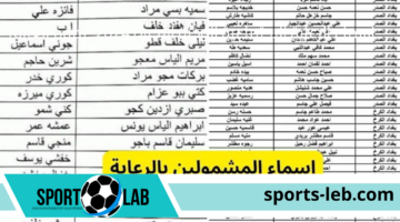 “استعلم هسـه”.. أسماء الرعاية الاجتماعية الوجبة الأخيرة 2024 عموم العراق عبر موقع وزارة العمل العراقي