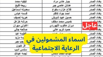 “هسة” تنزيل كشوف اسماء الرعاية الاجتماعية الوجبة الأخيرة 2024 عبر منصة مظلتي spa.gov.iq