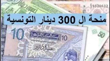 “وزارة الشؤون الاجتماعية تعلن”.. فتح باب التسجيل في منحة 300 دينار والشروط اللازمة للاستفادة من المنحة