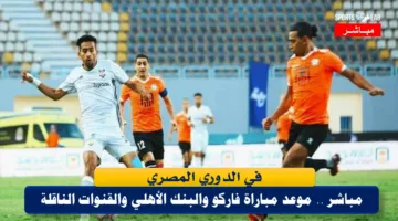 موعد مباراة البنك الأهلي وفاركو في الدوري المصري والقنوات الناقلة