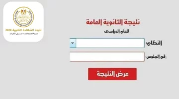 بالاسم ورقم الجلوس.. نتيجة الثانوية العامة 2024 ونسب النجاح المتوقعة فى 9 مواد