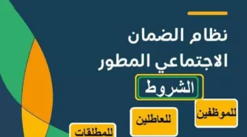 كم تأخذ المطلقة من الضمان المطور 1446؟ وزارة الموارد البشرية توضح