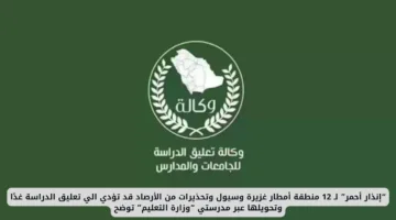 “إنذار أحمر” لتوقعات أمطار غزيرة وسيول تضرب 12 منطقة وتحذيرات الأرصاد قد تؤدي لتعليق الدراسة وتحويلها عبر مدرستي