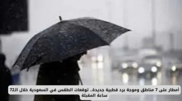 عاجل: الأرصاد الجوية تحذر من أمطار كثيفة وموجة برد قطبية تضرب 7 مناطق بالسعودية خلال 72 ساعة المقبلة