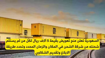 السعودية: تعويض 5000 ريال لكل من لم يستلم شحنته في الوقت والمكان المحددين.. كيفية التقديم والشكاوى