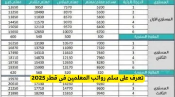 تعرف على سلم رواتب المعلمين في قطر 2025 وأهم التغيرات والمزايا الجديدة للمعلمين في القطاع التعليمي