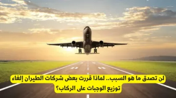 لماذا قررت بعض شركات الطيران إلغاء الوجبات على الركاب؟ الأسباب المفاجئة وراء القرار الجديد