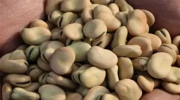 ارتفاع أسعار الفول والزيت واللحوم اليوم بالأسواق.. تعرف على تفاصيل زيادات السبت