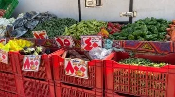 أسعار الخضراوات اليوم السبت 22-3-2025 في الإسماعيلية: تعرف على أحدث الأسعار والتغييرات اليومية