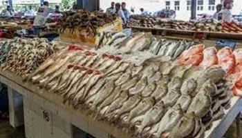 أسعار الأسماك اليوم الأحد في سوق العبور: البلطي يبدأ من 79 جنيهًا وأحدث التحديثات اليومية