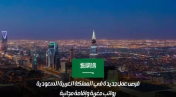 السعودية تعلن عن إقامة مجانية ورواتب مميزة للمحترفين في هذه المهن.. فرصة لا تُفوّت قدّم الآن