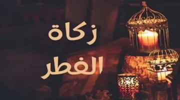 زكاة الفطر في غزة 2025: تعرف على القيمة والمواعيد وطريقة إخراج الزكاة بشكل صحيح