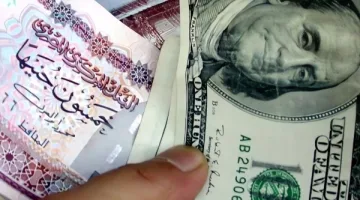 أقل سعر دولار اليوم 23-3-2025 – تعرف على آخر تحديث لأسعار الدولار الآن