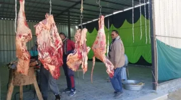 استقرار أسعار اللحوم اليوم في الوادي الجديد.. تعرف على أحدث الأسعار ليوم السبت