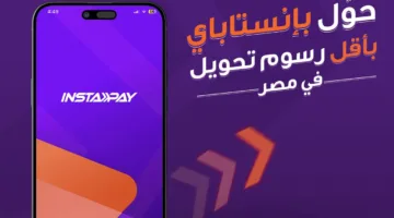 شبكة المدفوعات اللحظية: تطبيق رسوم على خدمات “إنستاباي” يبدأ من أبريل المقبل لتحسين الخدمة
