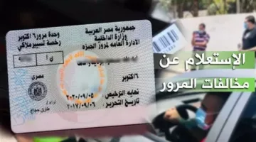 الاستعلام عن مخالفات السيارات 2025: كيفية معرفة المخالفات وخطوات السداد والتظلم إلكترونيًا بسهولة