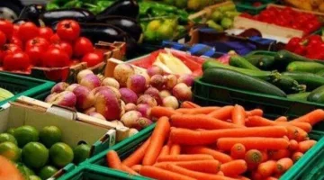 أسعار الليمون اليوم.. تعرف على أسعار الخضروات الأحد 23 مارس 2025 في الأسواق المصرية