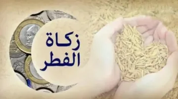 زكاة الفطر 2025 في فلسطين: مقدار الزكاة وحكمها وموعد إخراجها بالتفصيل