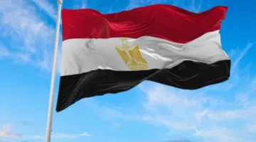 مصر تدين الهجوم الإرهابي على قوة المهام المشتركة بالحدود بين نيجيريا والكاميرون مؤكدة دعمها لمكافحة الإرهاب