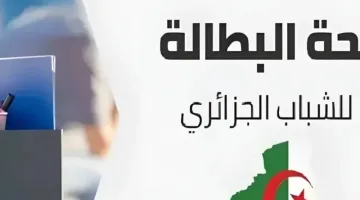 التجديد منحة البطالة الجزائر 2025: رابط جديد للتجديد بسهولة والشروط المطلوب معرفتها