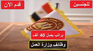 وظائف وزارة العمل برواتب عالية داخل وخارج مصر.. قدم الآن واستفد من الفرص قبل 5 أبريل