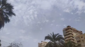 حالة الطقس اليوم الجمعة 28 مارس 2025: أجواء باردة ورياح قوية تضرب السواحل الشمالية