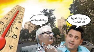 موجة حارة وأتربة تضرب البلاد.. الأرصاد الجوية تكشف توقعات طقس الأيام القادمة بالتفصيل
