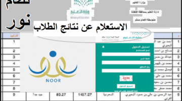 استخراج نتائج نظام نور 2025 بسهولة – اعرف نتيجتك في ثواني من خلال خطوات بسيطة