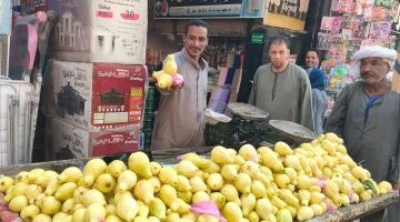 أسعار فاكهة الشتاء في أسواق الأقصر اليوم الجمعة 24 أكتوبر